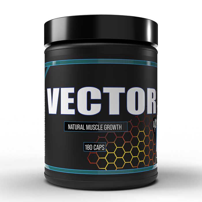 Vector