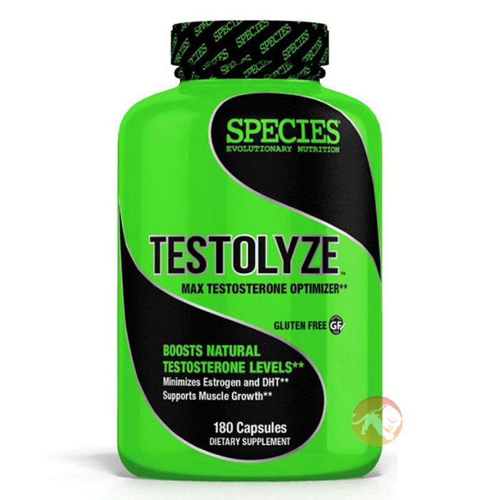 Testolyze