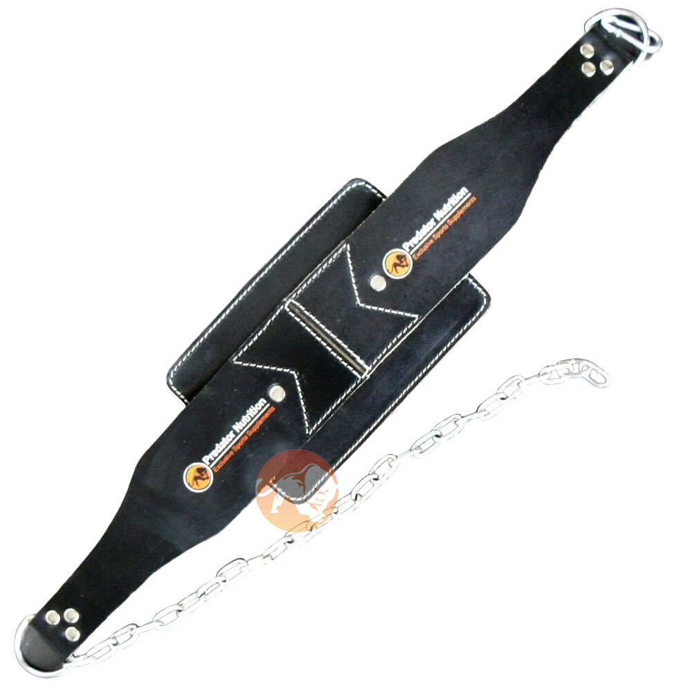 Dipping Belt with chain