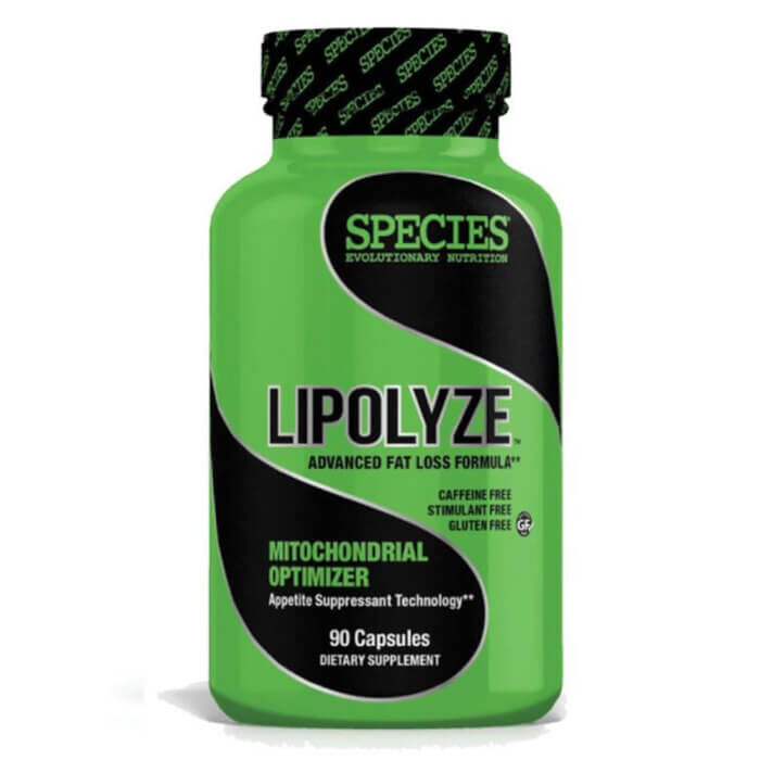 Lipolyze