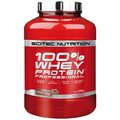 100% Whey Protein Professional 2350g Ice Coffee