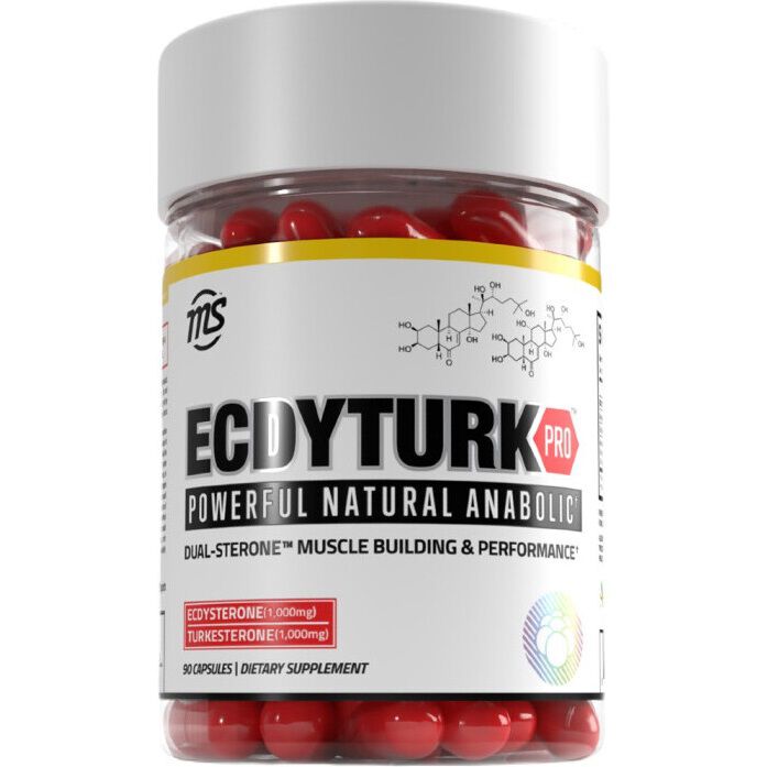 EcdyTurk Pro