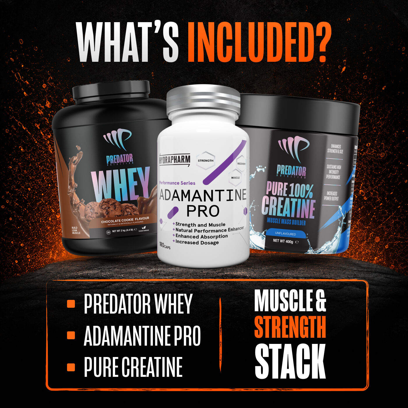 Muscle and Strength Stack