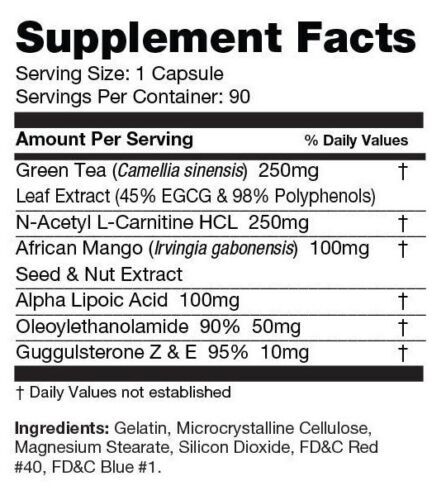 Lipolyze