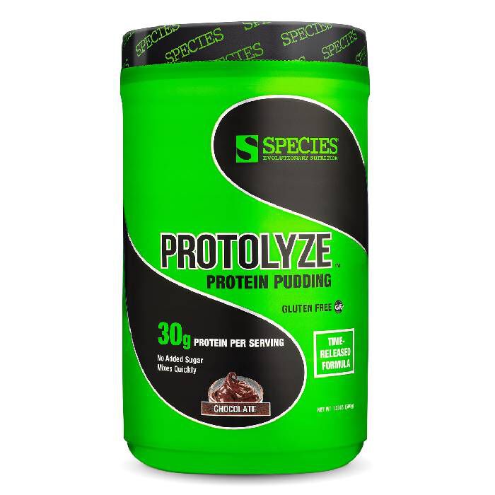 Protolyze Protein Pudding 560g Chocolate Protolyze Protein Pudding 560g Chocolate