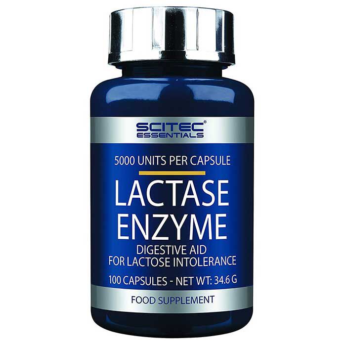 Lactase Enzyme