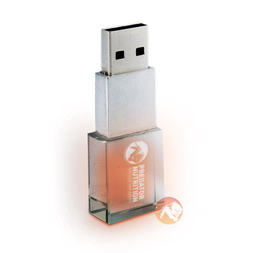 Predator Crystal USB Flash Drive 4GB