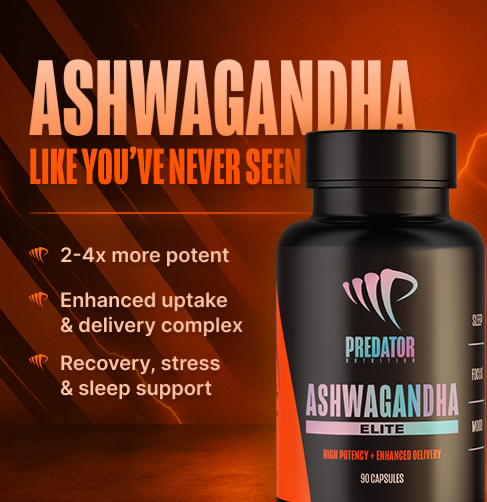 Home Page Main Banner 1